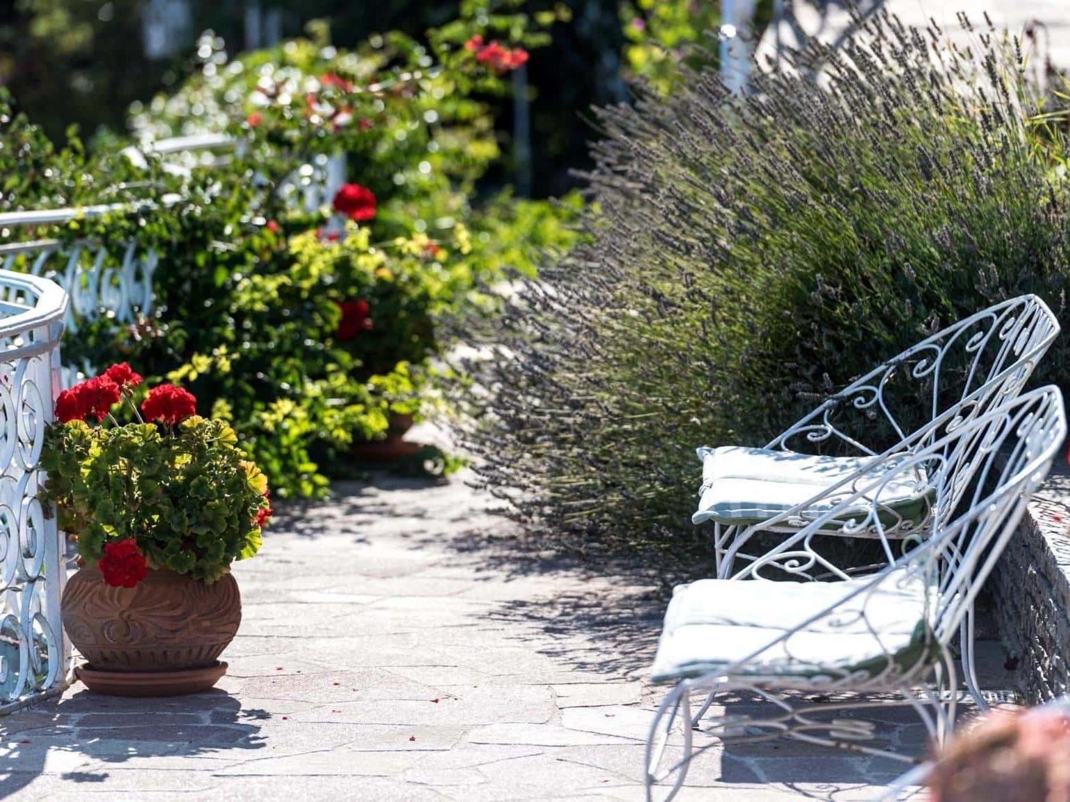 Teritoria Alp & Wellness Sport Hotel Panorama