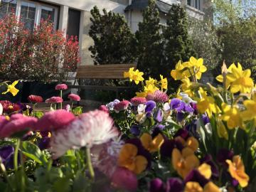 Logis Hôtel le Saint Florent