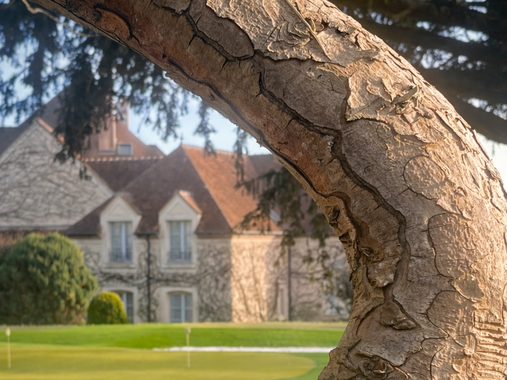 Logis Hôtel Domaine de l\'Orangerie