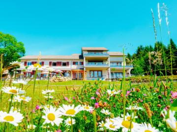 Logis Hôtel le Relais du Bois Vialotte